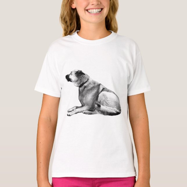 Sido-Belyst Vakt T Shirt (Framsida)