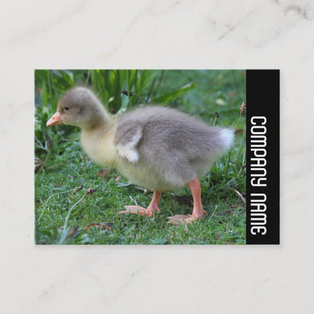 Sidoband - Gosling 02 Visitkort (Framsida)