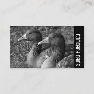 Sidoband - Greylag Geese B&W Visitkort