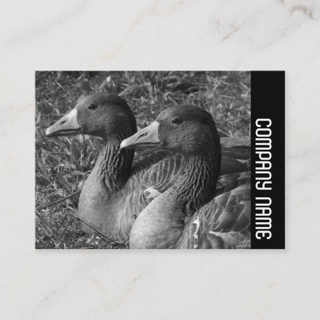 Sidoband - Greylag Geese B&W Visitkort (Framsida)