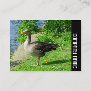 Sidoband - Greylag Goose Visitkort