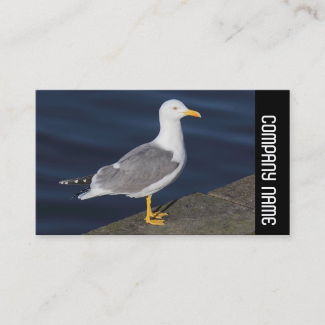 Sidoband - Gult-Legged Gull Visitkort (Framsida)
