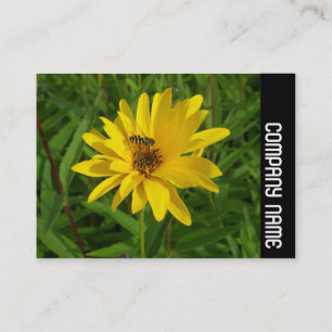 Sidoband - Hover Fly på en Gult Chrysanthemum Visitkort