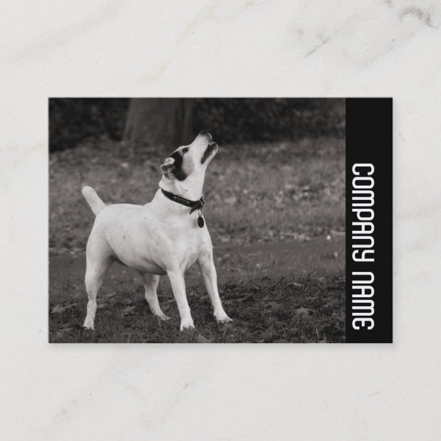 Sidoband - Hund Visitkort (Framsida)