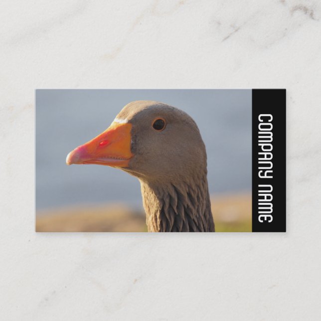 Sidoband - Inquisitive Greylag Goose Visitkort (Framsida)
