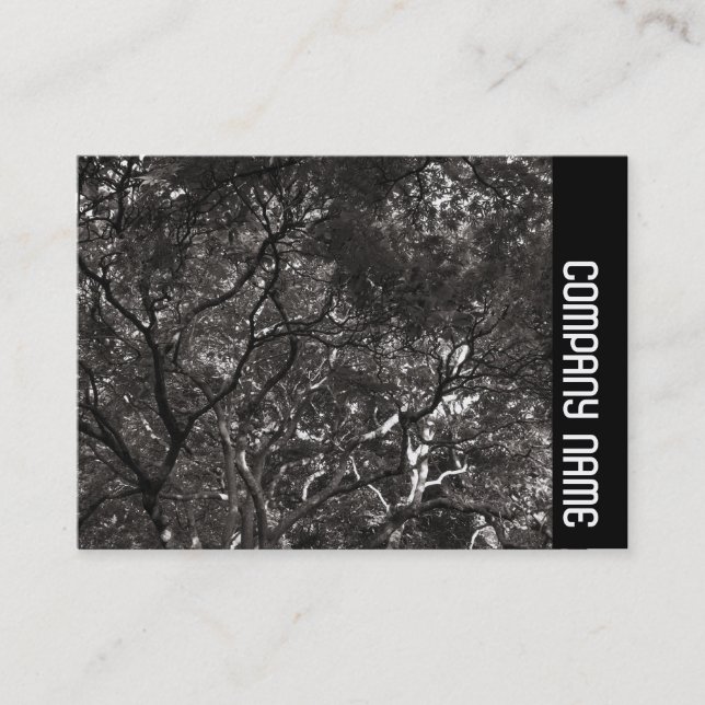 Sidoband - Japanska Grenar 01 Visitkort (Framsida)