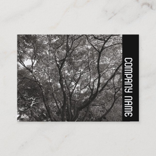 Sidoband - Japanska Grenar 02 Visitkort (Framsida)