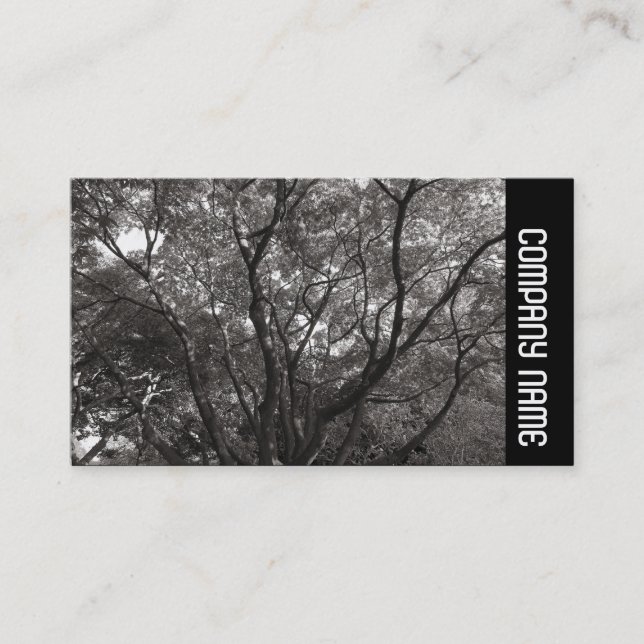 Sidoband - Japanska Grenar 02 Visitkort (Framsida)