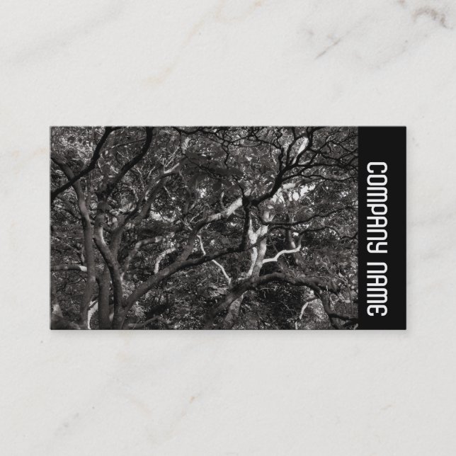 Sidoband - Japanska Grenar 03 Visitkort (Framsida)