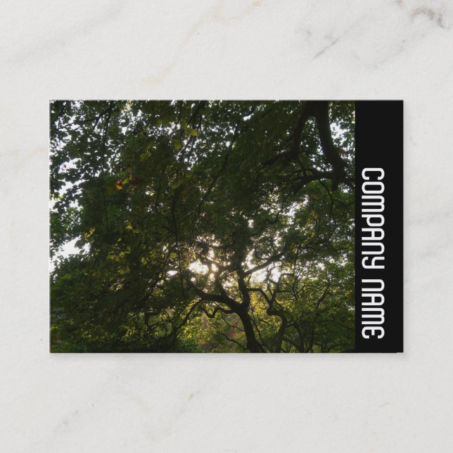 Sidoband - Japanska Grenar 04 Visitkort (Framsida)