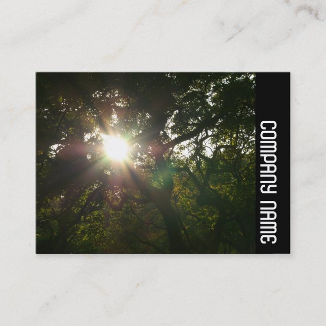 Sidoband - Japanska Grenar 07 Visitkort (Framsida)