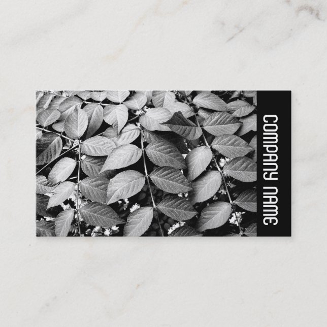 Sidoband - Löv Visitkort (Framsida)