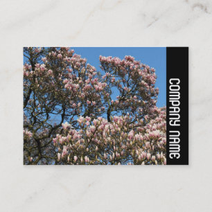 Sidoband - Magnolia Träd i Bloom Visitkort