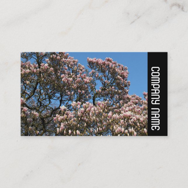 Sidoband - Magnolia Träd i Bloom Visitkort (Framsida)