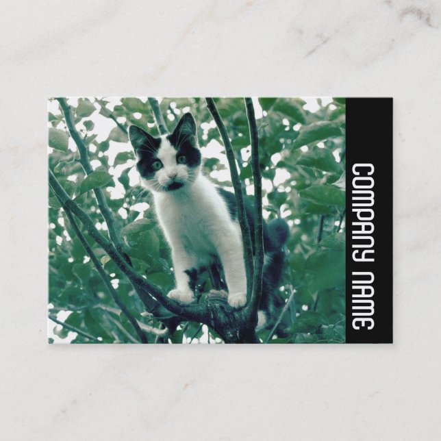 Sidoband - Överflödig stelhet i näthinnan Visitkort (Framsida)