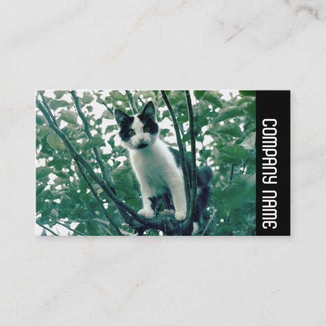 Sidoband - Överflödig stelhet i näthinnan Visitkort (Framsida)