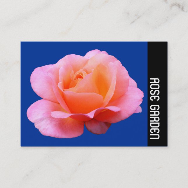 Sidoband - Rosa ros (djupblått) Visitkort (Framsida)