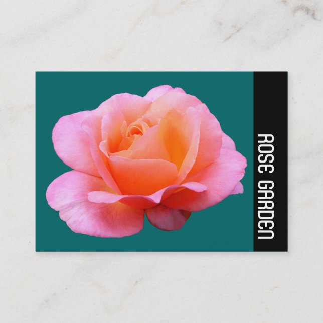 Sidoband - Rosa ros (Moss-Grönten) Visitkort (Framsida)