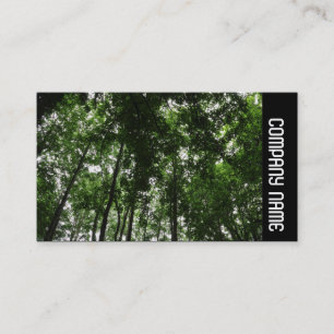Sidoband - Trädland Canopy 01 Visitkort