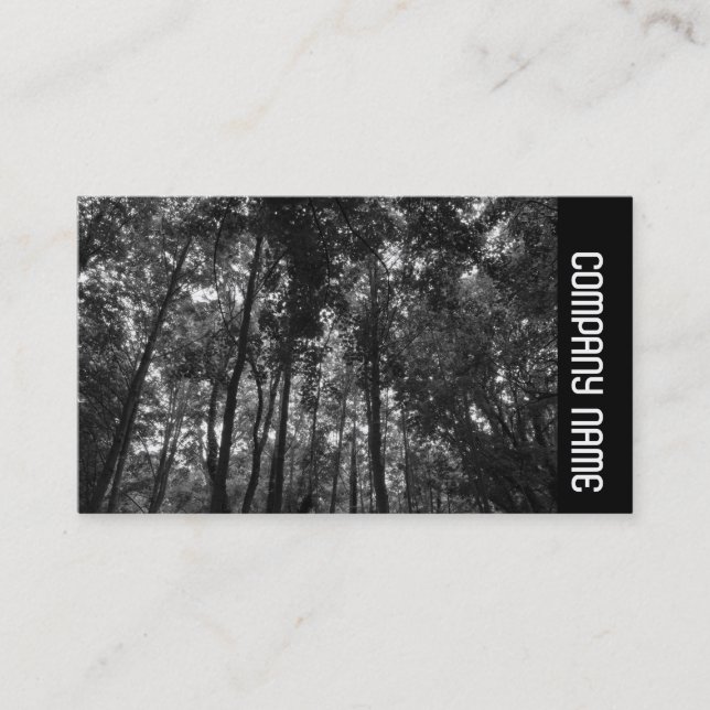 Sidoband - Träet Canopy 02 BW Visitkort (Framsida)