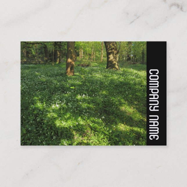 Sidoband - Vår i Skogen Visitkort (Framsida)