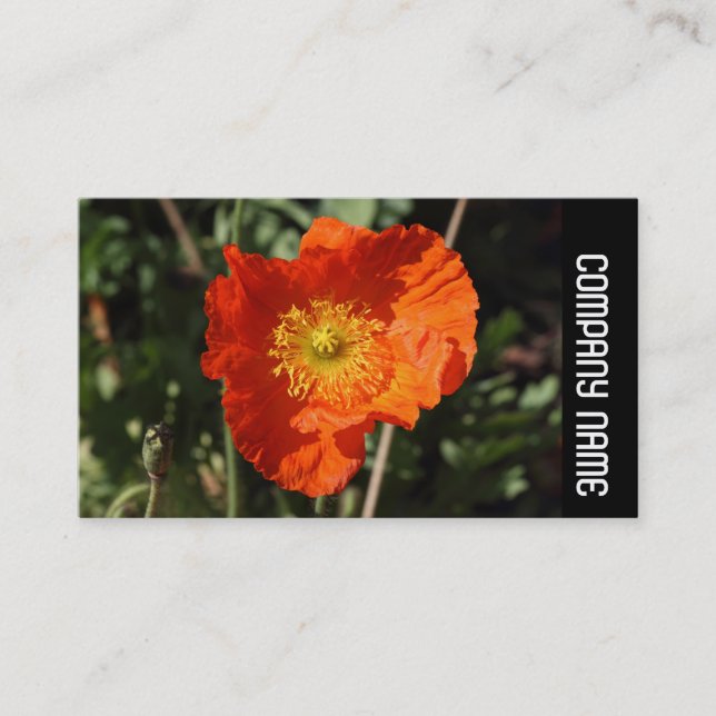 Sidoband - Welsh Poppy (Orange) Visitkort (Framsida)