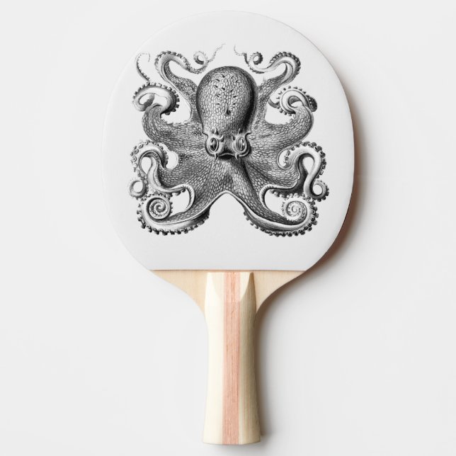 Sidobläckfisk illustration av Ernst Haeckel Pingisracket (Framsidan)