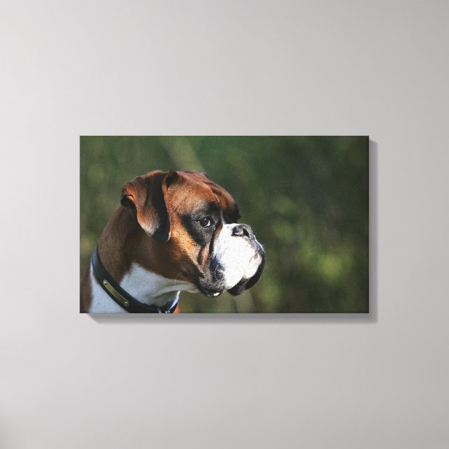 Sidoprofil för Boxer Hund Canvastryck (Framsida)