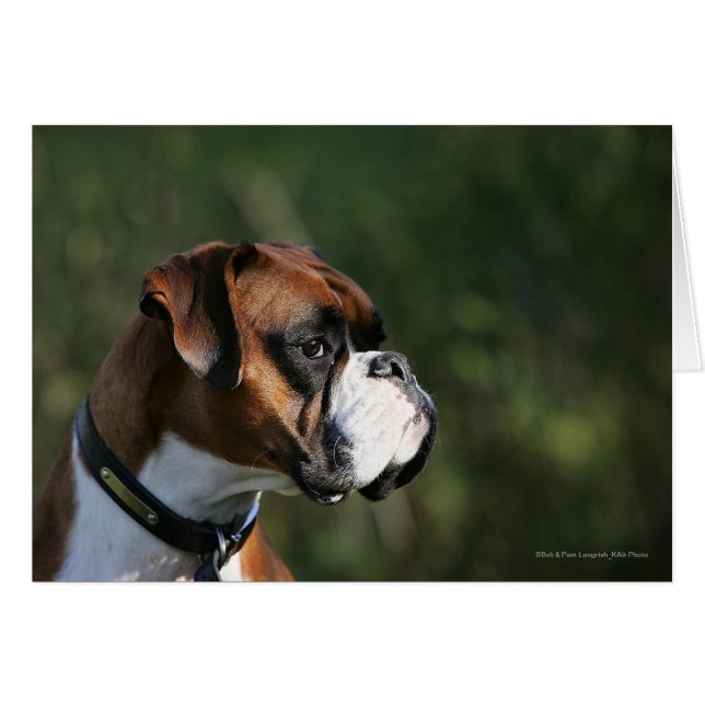 Sidoprofil för Boxer Hund Hälsningskort (Framsidan Horizontal)