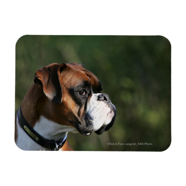 Sidoprofil för Boxer Hund Magnet (Horisontell)