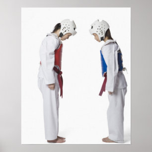Sidoprofil för två taekwondo-spelare som ger sig p poster