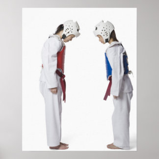 Sidoprofil för två taekwondo-spelare som ger sig p poster