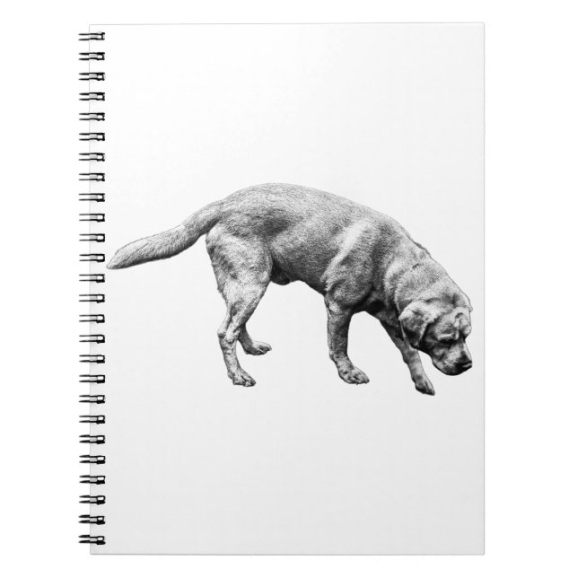 Sidor med förödelse anteckningsbok (Framsidan)