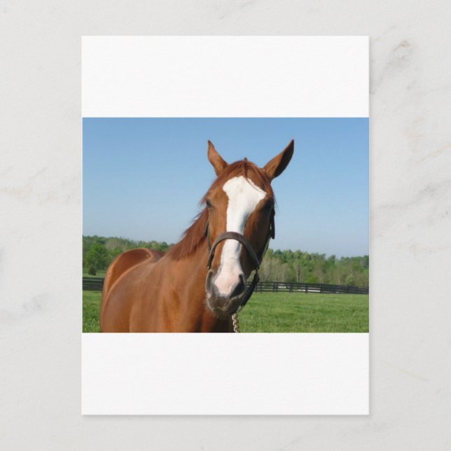 Sidor till Rikens hörlurar Vykort (Framsida)