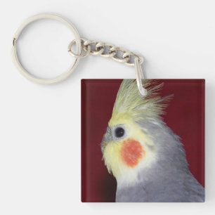 Sidpapegojanyckelring för Cockatiel 2