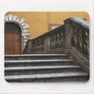Sienna, Toscana, Italien - Låg vinkelvy av Musmatta