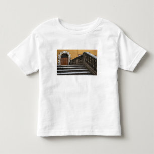 Sienna, Toscana, Italien - Låg vinkelvy av T-shirt
