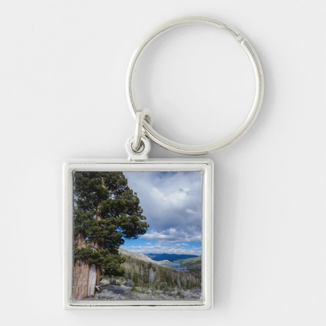 Sierra-en Juniper och Ständigt Gröna Träd 2 Fyrkantig Silverfärgad Nyckelring (Framsidan)