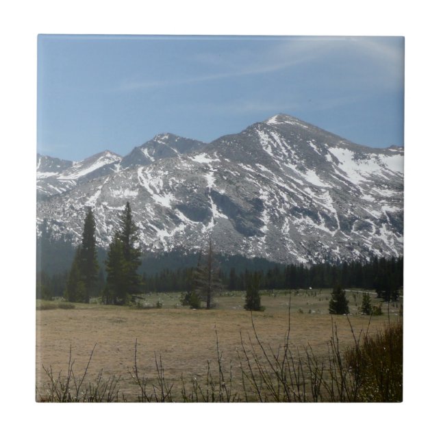Sierra Nevada-bergen I från Yosemite Kakelplatta (Framsidan)