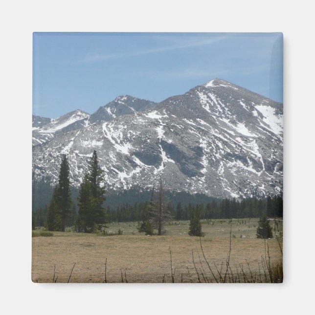 Sierra Nevada-bergen I från Yosemite Magnet (Framsidan)