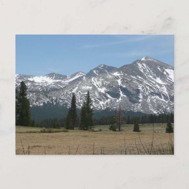 Sierra Nevada-bergen I från Yosemite Vykort (Framsida)