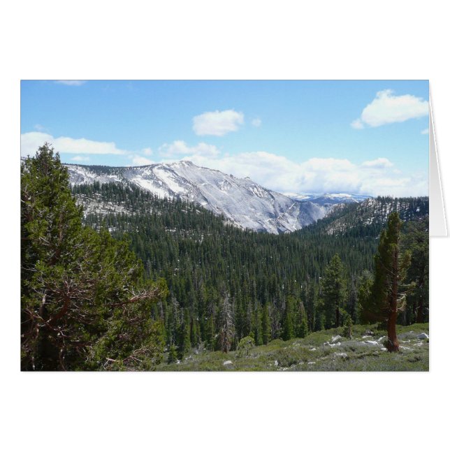 Sierra Nevada-bergen II från Yosemite Hälsningskort (Framsidan Horizontal)
