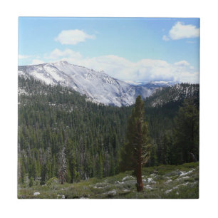 Sierra Nevada-bergen II från Yosemite Kakelplatta