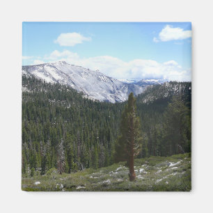 Sierra Nevada-bergen II från Yosemite Magnet