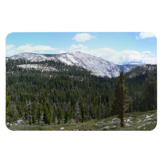 Sierra Nevada-bergen II från Yosemite Magnet (Horisontell)
