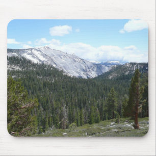 Sierra Nevada-bergen II från Yosemite Musmatta