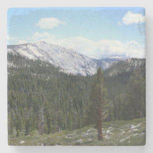 Sierra Nevada-bergen II från Yosemite Underlägg Sten