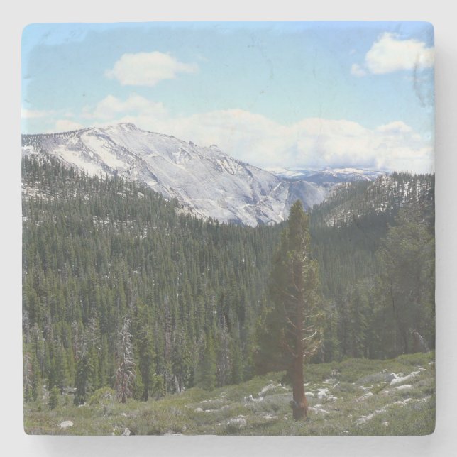 Sierra Nevada-bergen II från Yosemite Underlägg Sten (Framsidan)