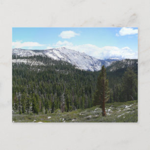 Sierra Nevada-bergen II från Yosemite Vykort