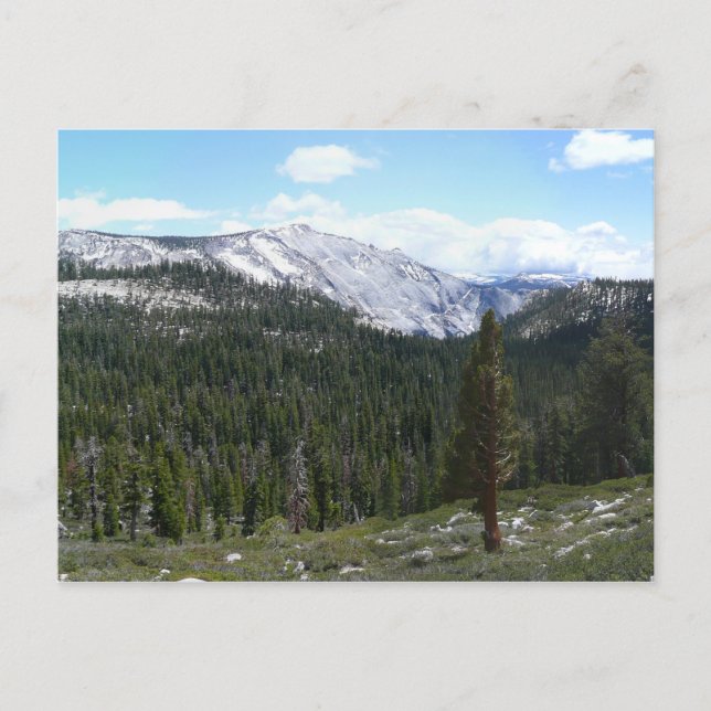 Sierra Nevada-bergen II från Yosemite Vykort (Framsida)